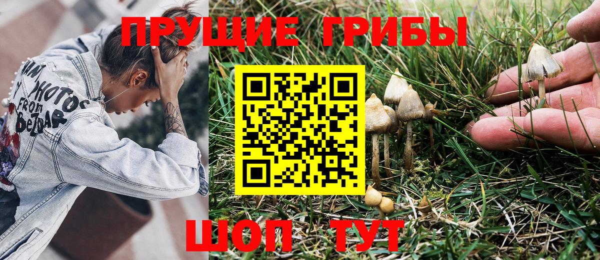Псилоцибиновые грибы мухоморы  Вход с VPN  Холмск 