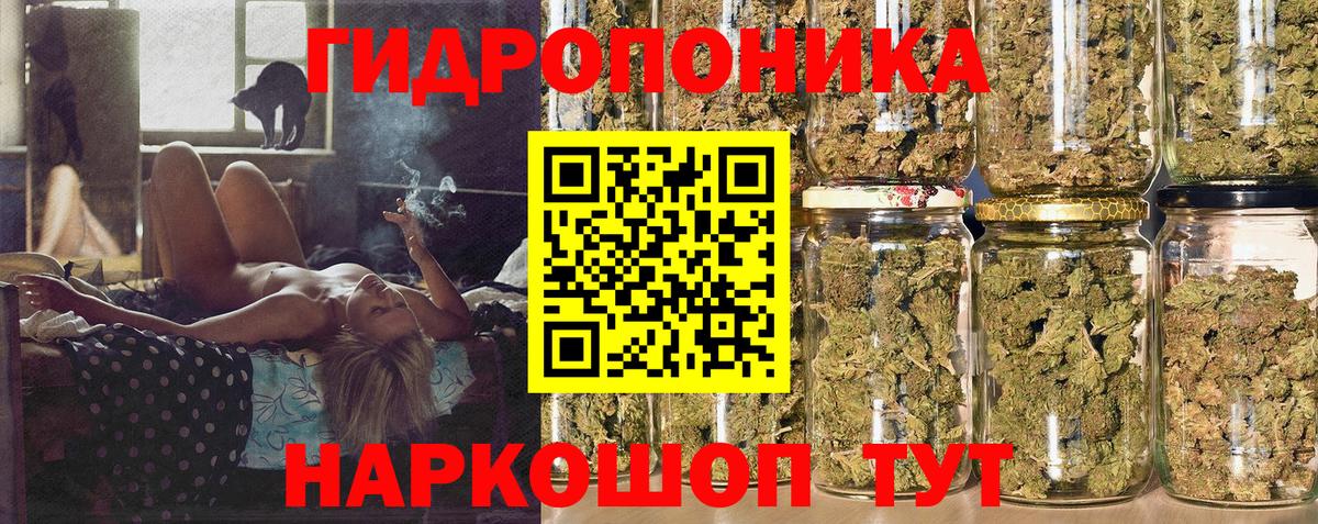 Бошки марихуана White Widow  Вход с VPN  Бошки Шишки план  Холмск 